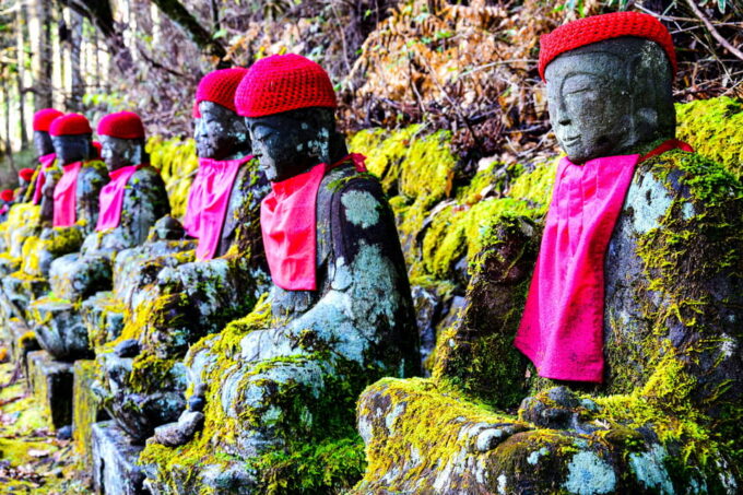 From Tokyo: Custom Nikko Day Tour With English Driver Flexib - Cultural Exploration
