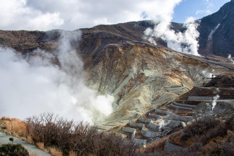 From Tokyo: Customize Your Own Tour! - Inclusions and Amenities