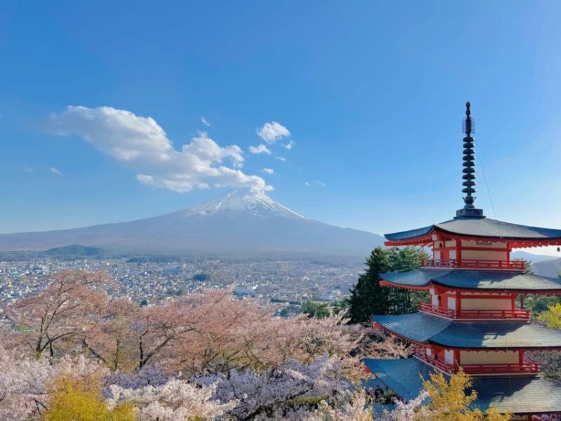 From Tokyo: Day Trip to To Mt. Fuji 5th Station & Hot Spring - Key Points