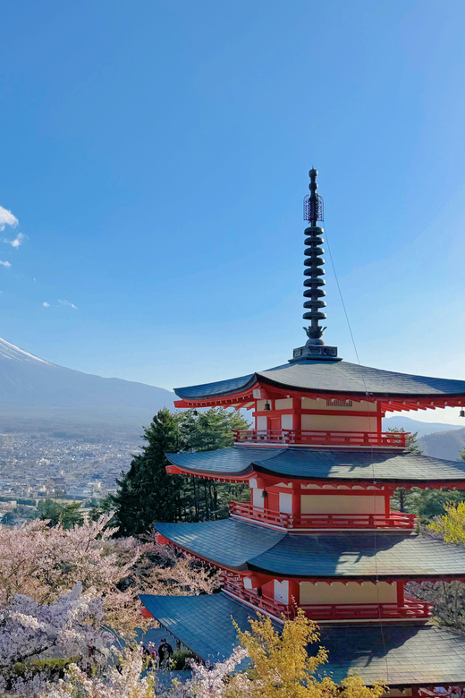 From Tokyo: Day Trip to To Mt. Fuji 5th Station & Hot Spring - Customer Feedback