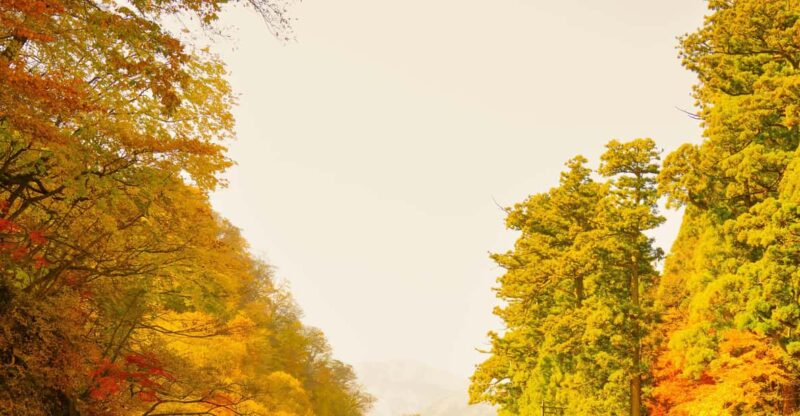 From Tokyo: Explore Nikko in a One Day, Shrine, Waterfall - Itinerary and Highlights