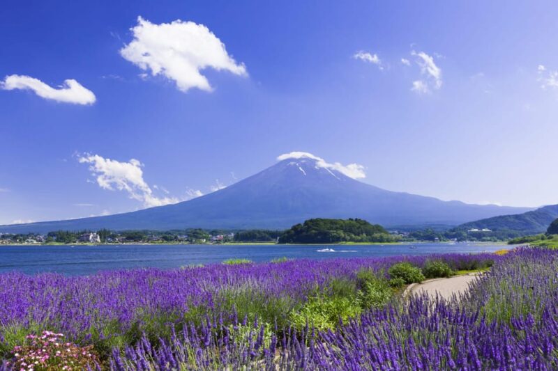 From Tokyo: Fuji Mountain Area - FujiQ - Lake Kawaguchiko - Chureito Pagoda - Itinerary Highlights