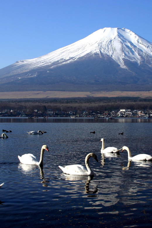 From Tokyo: Fuji Mountain Area - FujiQ - Lake Kawaguchiko - Chureito Pagoda - Exploring Lake Kawaguchiko