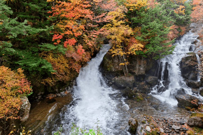From Tokyo: Full-Day Private Nikko Highlights Tour - Transportation & Accessibility