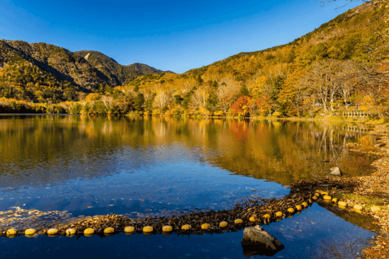 From Tokyo: Full-Day Private Nikko Highlights Tour - Preparation & Recommendations