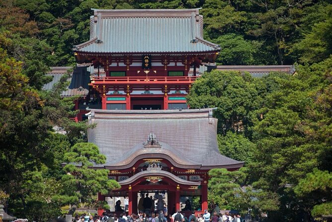 From Tokyo: Full Day Tour to Kamakura Great Buddha & Enoden Ride - Accessibility and Restrictions