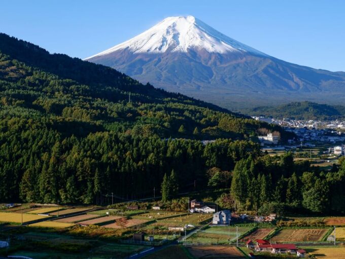 From Tokyo: Gotemba Premium Outlets & Lake Kawaguchi Tour - FAQ