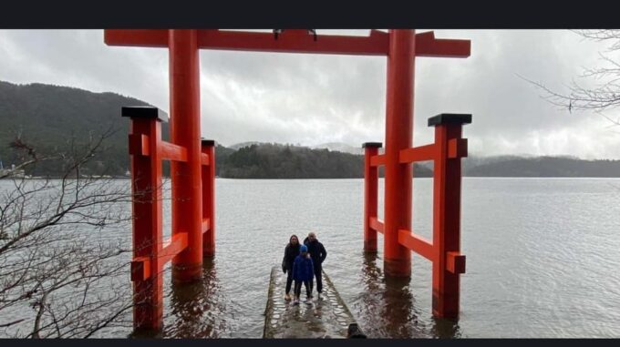 From Tokyo: Hakone 1 Day Private Tour With English Driver - Hakone Ropeway and Tea Ceremony