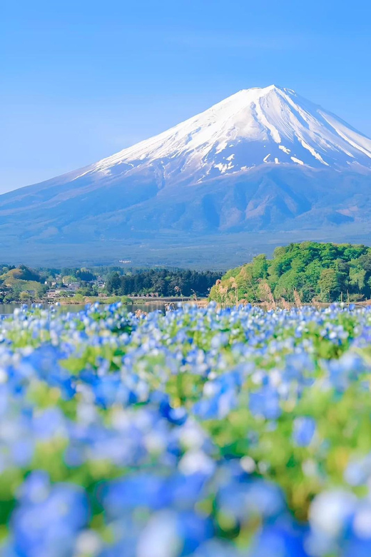 From Tokyo: Hakone and Mount Fuji Tour With Transportation - Key Points