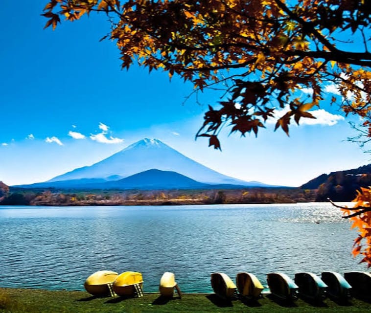 From Tokyo: Hakone, Lake Asahi & Oshino Hakkai Private Tour - Key Points