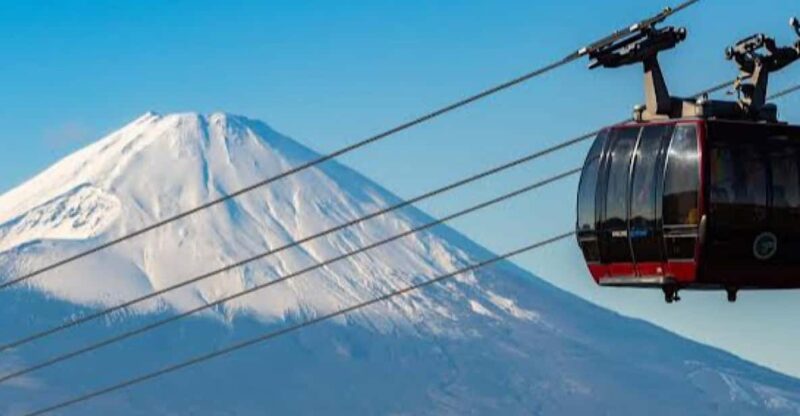 From Tokyo: Hakone, Lake Asahi & Oshino Hakkai Private Tour - Accessibility and Cancellation