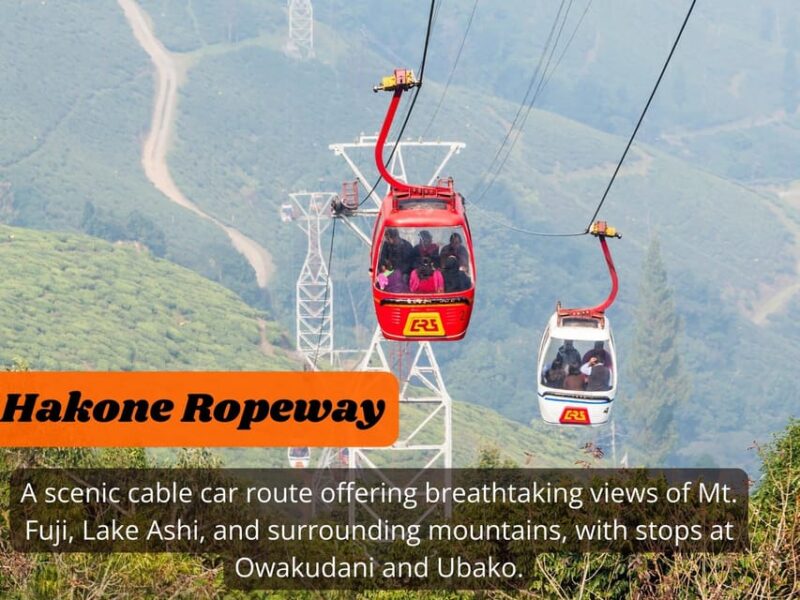 From Tokyo: Hakone, Lake Ashi Private Sightseeing Day Trip - Scenic Cruise on Lake Ashi