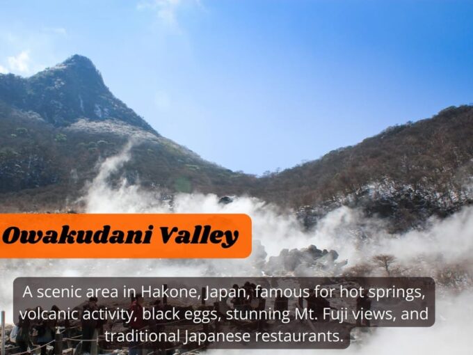 From Tokyo: Hakone, Lake Ashi Private Sightseeing Day Trip - Frequently Asked Questions