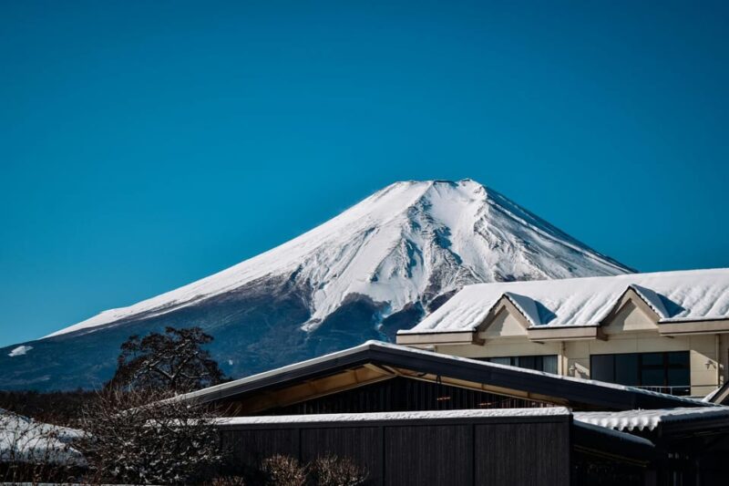 From Tokyo: Hakone & Mt.Fuji 1 Day Sightseeing Tour - Key Points