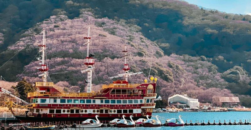 From Tokyo : Hakone Onsen , Nature and Art Day Tour - Pickup and Drop-off Locations