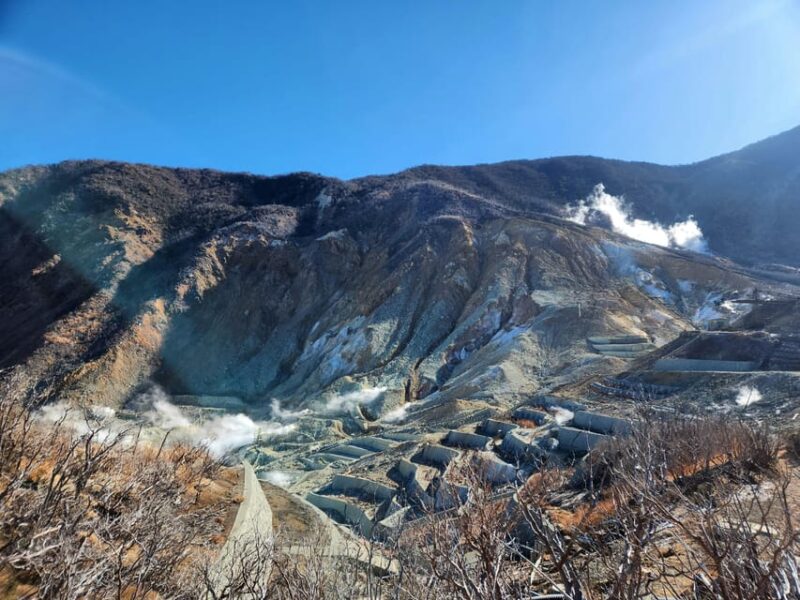 From Tokyo : Hakone Onsen , Nature and Art Day Tour - Hakone Open-Air Museum