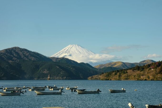 From Tokyo : Hakone Onsen , Nature and Art Day Tour - Optional Activities and Extras