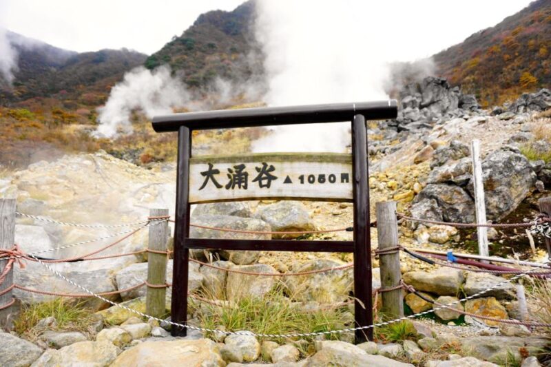 From Tokyo: Hakone, Owakudani, & Lake Kawaguchi Day Tour - Starting Locations
