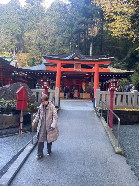 From Tokyo: Hakone Shrine, Lake Ashia, Open Air Museum Tour - Key Points