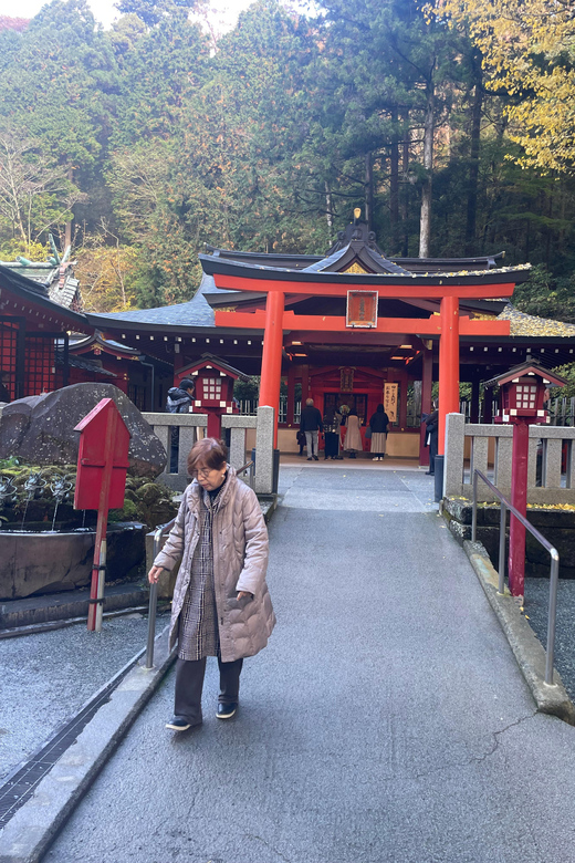 From Tokyo: Hakone Shrine, Lake Ashia, Open Air Museum Tour - Scenic Wonders of Hakone