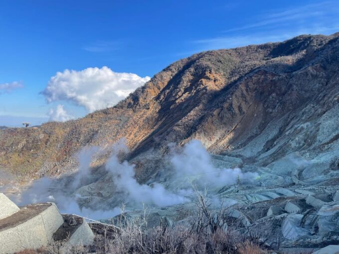 From Tokyo: Hakone Shrine, Lake Ashia, Open Air Museum Tour - FAQ