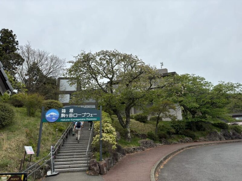 From Tokyo: Hakone With Lake Yamanaka Private Tour - Hakone Shrine Exploration