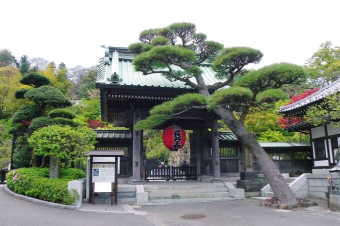 From Tokyo: Kamakura and Enoshima 1-Day Bus Tour - Enoshima Island
