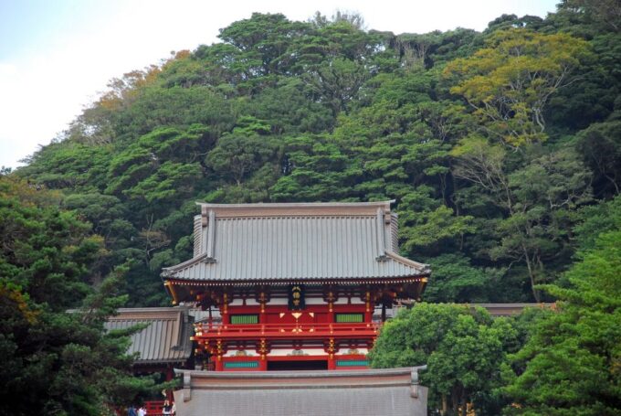 From Tokyo: Kamakura and Enoshima 1-Day Bus Tour - Frequently Asked Questions