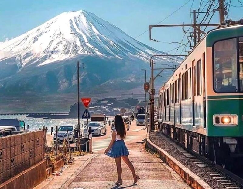 From Tokyo: Kamakura and Enoshima Full-Day Private Trip - Hokokuji Bamboo Forest: A Tranquil Retreat