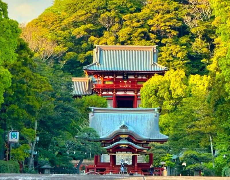 From Tokyo: Kamakura and Enoshima Full-Day Private Trip - FAQ