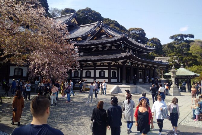 From Tokyo Kamakura and Enoshima Private Day Tour - Key Points