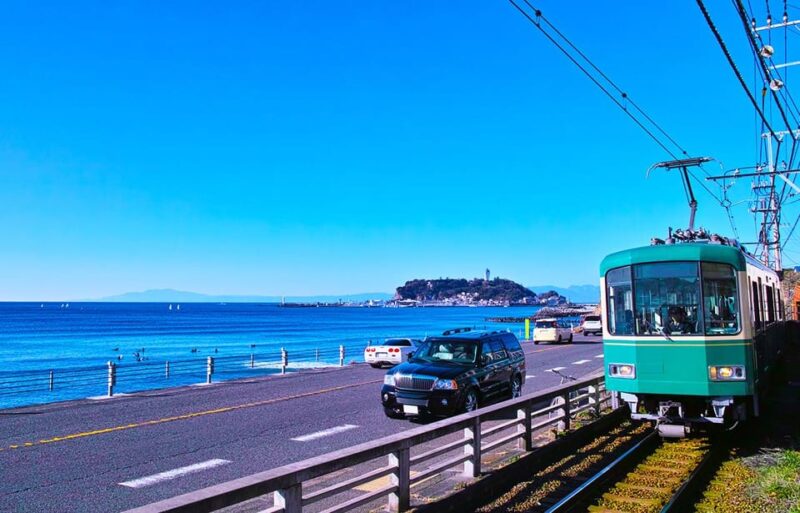 From Tokyo: Kamakura Buddha, Enoshima Shrine, Enoden Day Trip - Transportation and Logistics