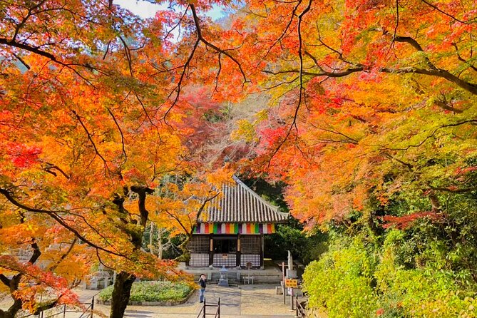 From Tokyo: Kamakura & Enoshima - One Day Trip - Departure and Contact Information