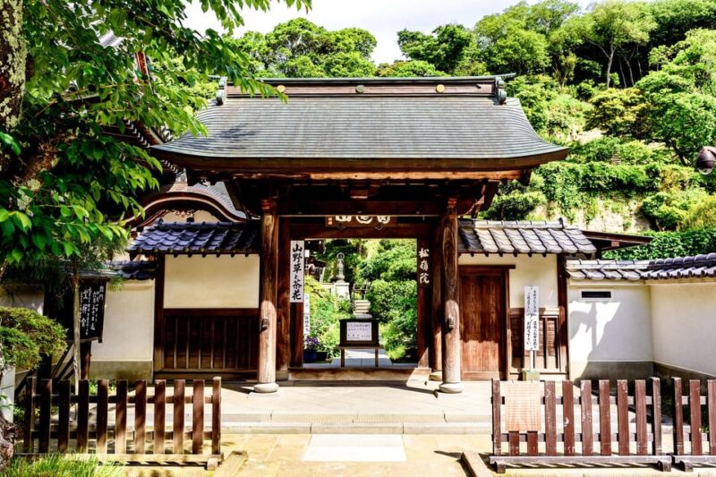 From Tokyo: Kamakura, Enoshima Private Day Tour - Zeniarai Benzaiten Shrine