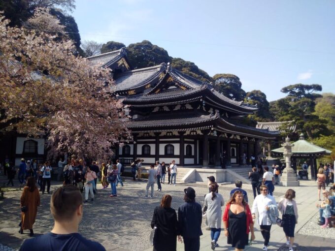 From Tokyo: Kamakura, Enoshima Private Day Tour - Hasedera Temple