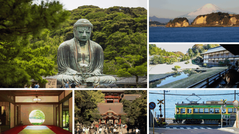 From Tokyo: Kamakura Full Day Tour With a Local Expert Guide - The Great Buddha of Kamakura