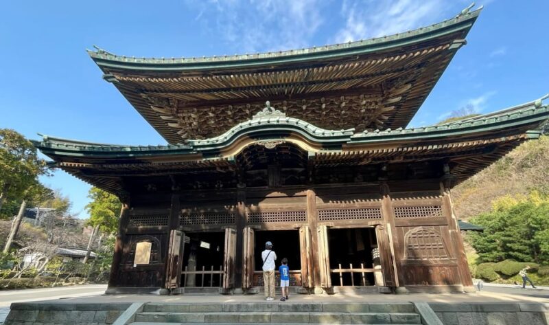 From Tokyo: Kamakura Full Day Tour With a Local Expert Guide - Discovering Zen Temples