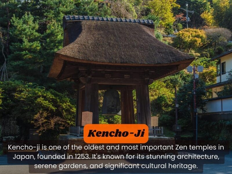 From Tokyo: Kamakura, Hachimangu, Enoshima Private Day Trip - Hase-dera Temple