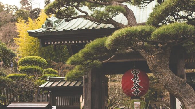 From Tokyo: Kamakura, Hachimangu, Enoshima Private Day Trip - Scenic Coastal Views