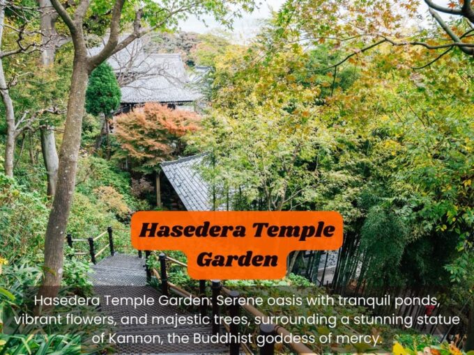 From Tokyo: Kamakura, Hachimangu, Enoshima Private Day Trip - Frequently Asked Questions