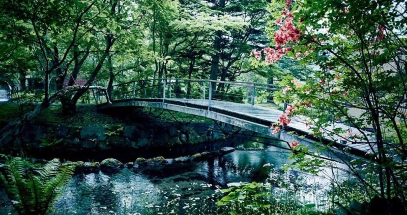 From Tokyo: Karuiizawa Hyland Shrine Koedo Kawagoe Day Tour - Transportation and Meeting Points