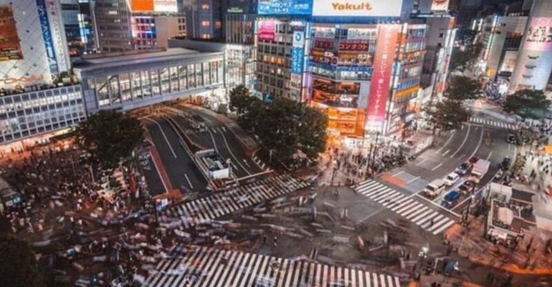 From Tokyo: Luxury Tokyo Private City Tour In Land Cruiser - Itinerary