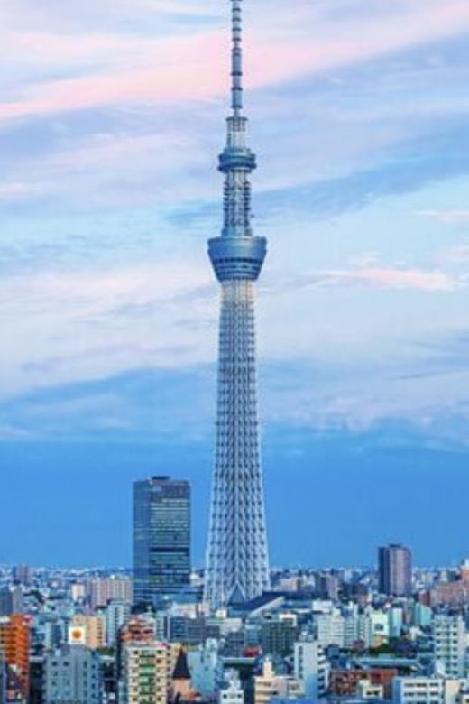 From Tokyo: Luxury Tokyo Private City Tour In Land Cruiser - Excluded From the Tour