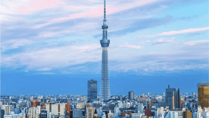 From Tokyo: Luxury Tokyo Private City Tour In Land Cruiser - Tour Suitability