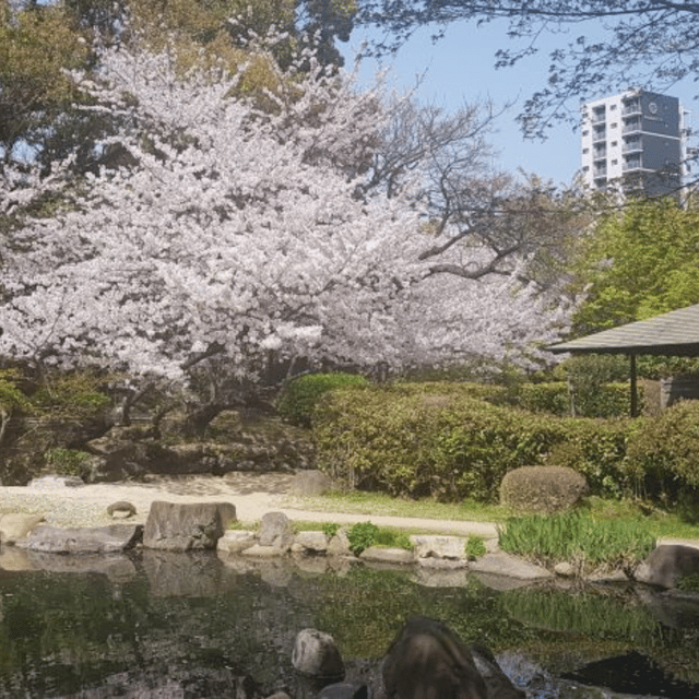 From Tokyo: Luxury Tokyo Private City Tour In Land Cruiser - Frequently Asked Questions