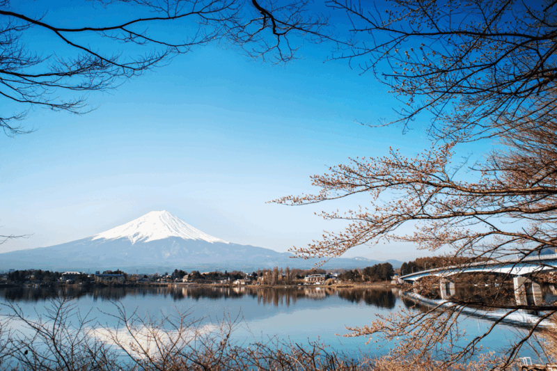From Tokyo: Mount Fuji and Fuji 5 Lakes Private Guided Tour - Key Points