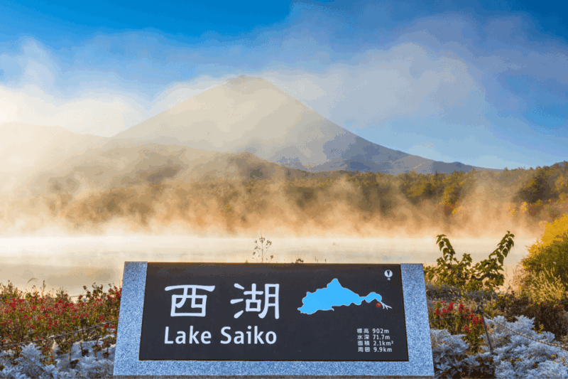 From Tokyo: Mount Fuji and Fuji 5 Lakes Private Guided Tour - Discovering Mount Fujis Beauty