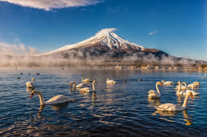 From Tokyo: Mount Fuji and Hakone Full Day Trip - Inclusions and Exclusions