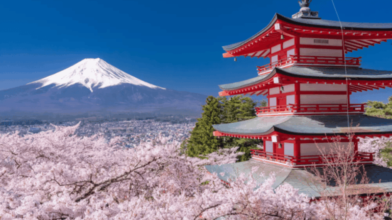 From Tokyo: Mount Fuji and Hakone Private Customize Tour - Experience and Attractions