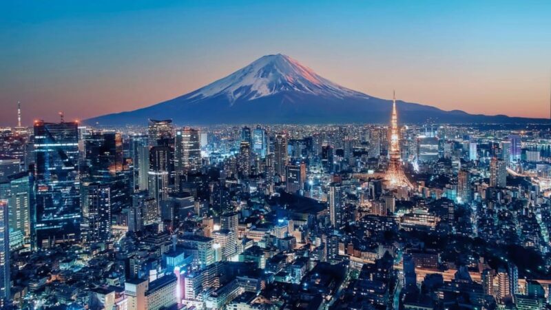 From Tokyo: Mount Fuji and Hakone Private Customize Tour - Important Information and Communication